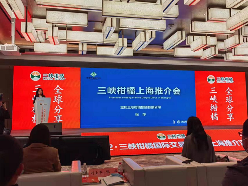 1646877429292015.png 三柑上海.png