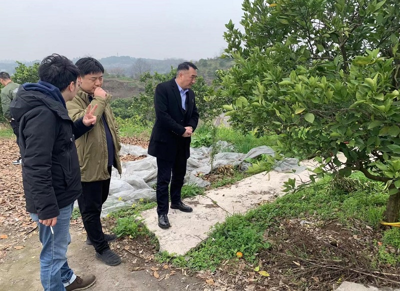 1676959931999661.jpg 圖片6.jpg