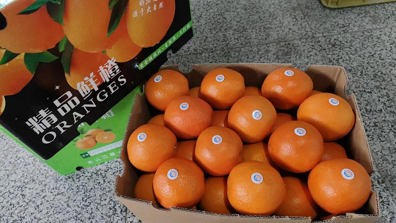 1710494447362662.png 圖片11.png