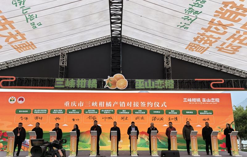 1733993457934225.png 圖片5.png